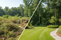Brush & Growth Removal Service